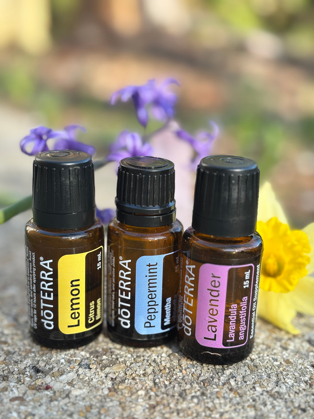 doTERRA Wellness Consultation