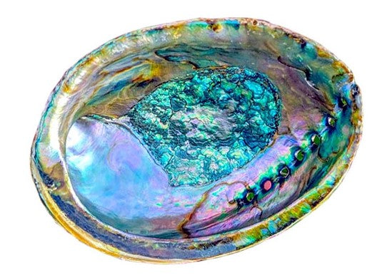 Abalone Shell - Smudging Kit Options