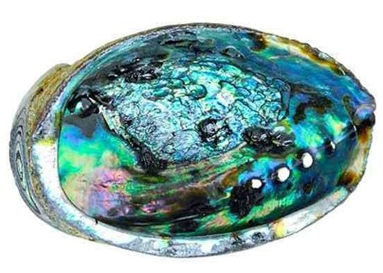 Abalone Shell - Smudging Kit Options